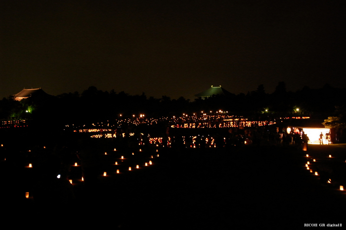 燈花会２０１０-浮雲園地-5.jpg