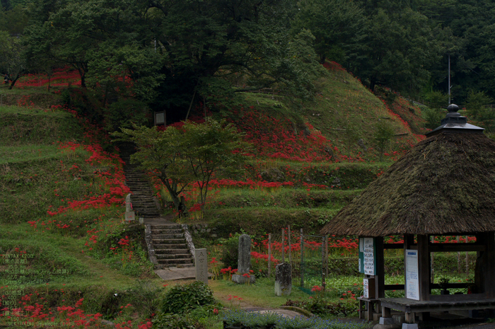 201009_仏隆寺_10.jpg