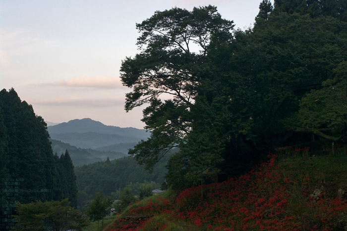 201009_仏隆寺_5.jpg