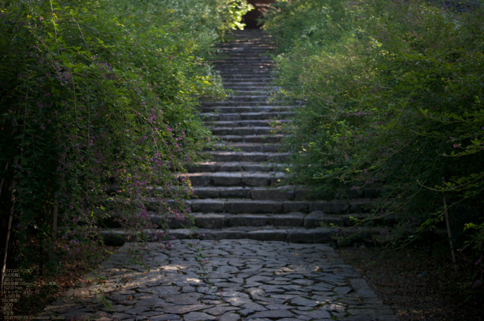 201009_白毫寺_2.jpg