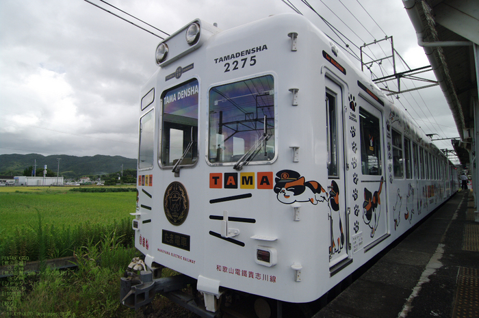 2010_08_和歌山電鐵_20.jpg