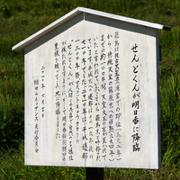 案山子2010-7.jpg