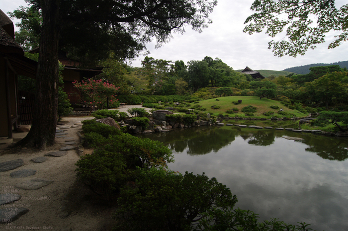 201009_依水園_10.jpg