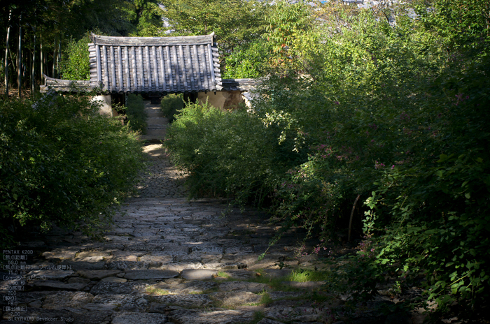 201009_白毫寺_14.jpg