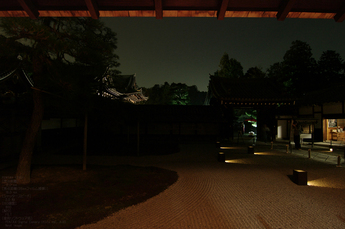 201010_泉涌寺_9.jpg