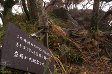 201010_大台ヶ原紅葉_15.jpg