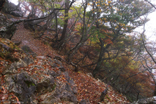 201010_大台ヶ原紅葉_16.jpg