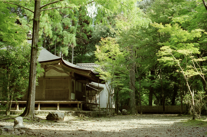 201010_高山寺_15.jpg