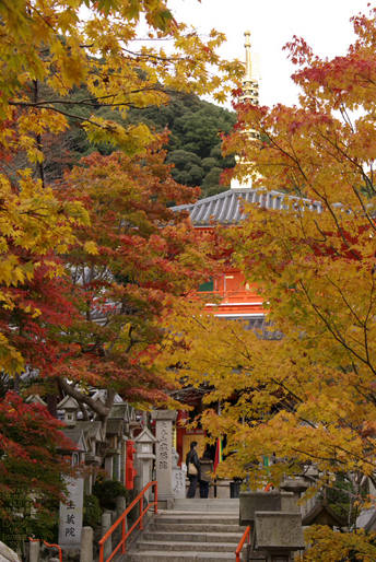 2010_信貴山・紅葉_12_2.jpg