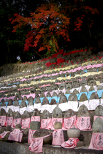 2010_信貴山・紅葉_14.jpg