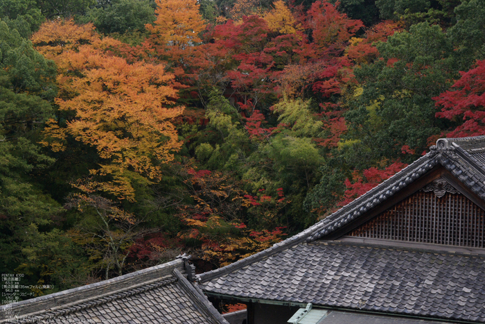 2010_信貴山・紅葉_16.jpg