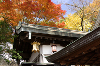 2010_信貴山・紅葉_19.jpg