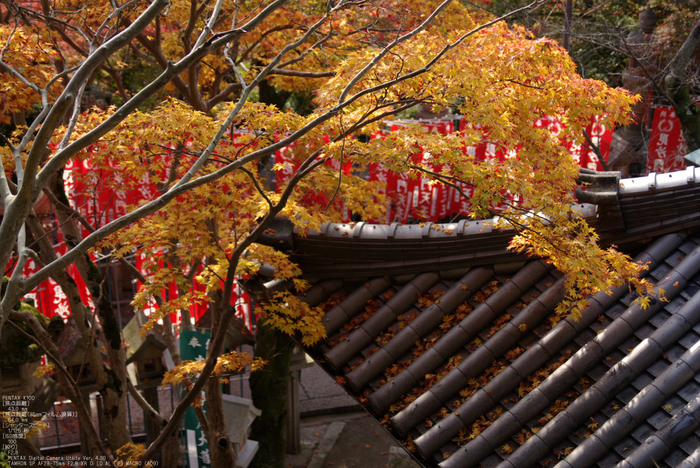 2010_信貴山・紅葉_22.jpg