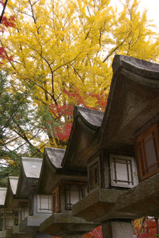 2010_信貴山・紅葉_6.jpg