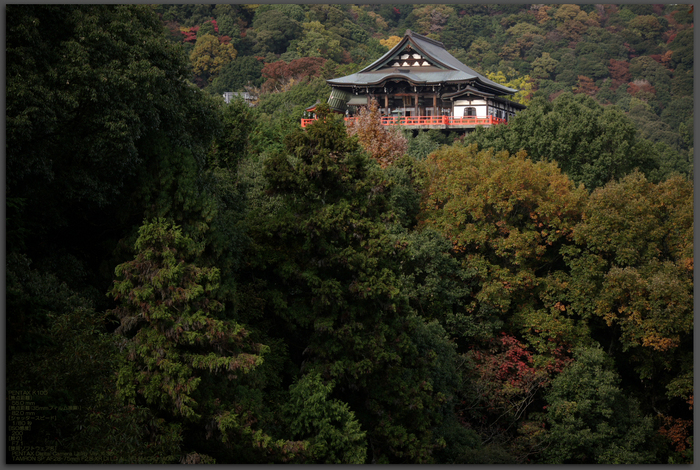 2010_信貴山・紅葉_top.jpg