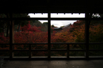 2010_光明院・紅葉_2.jpg