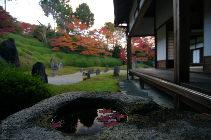 2010_光明院・紅葉_6.jpg