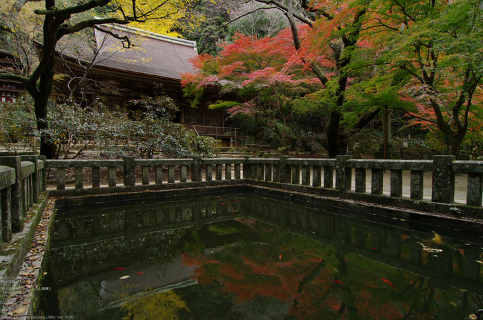 2010_室生寺・紅葉_10.jpg