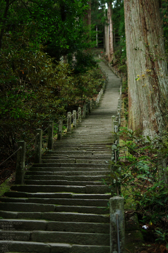 2010_室生寺・紅葉_15.jpg