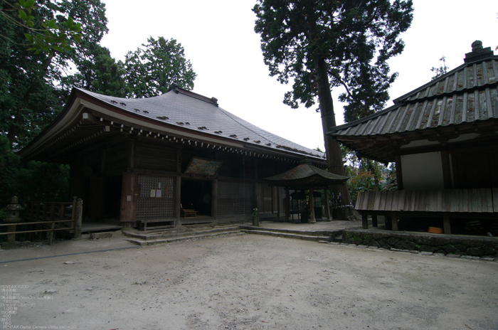 2010_室生寺・紅葉_16.jpg