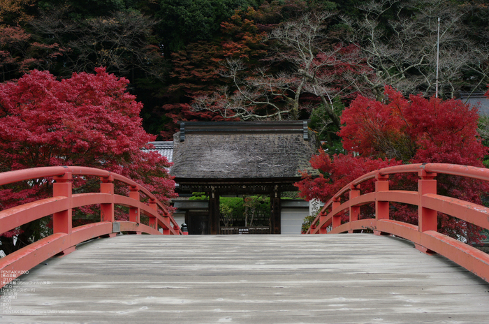 2010_室生寺・紅葉_2.jpg