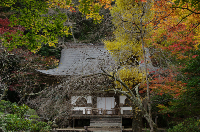 2010_室生寺・紅葉_22.jpg