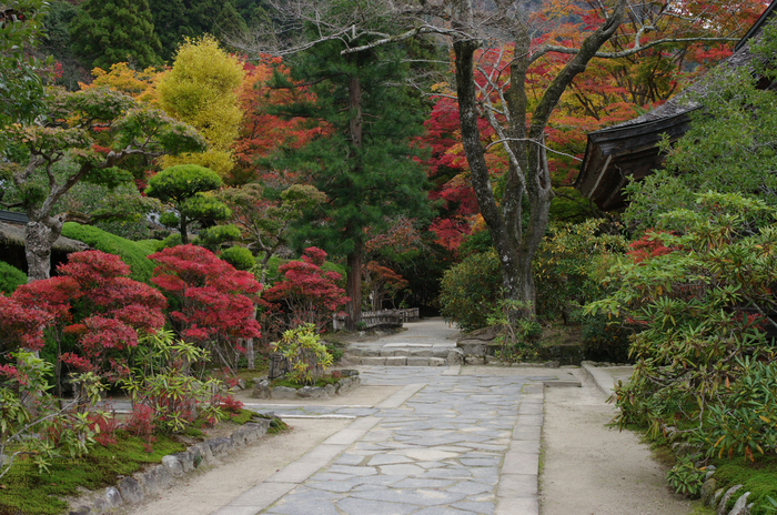 2010_室生寺・紅葉_24.jpg