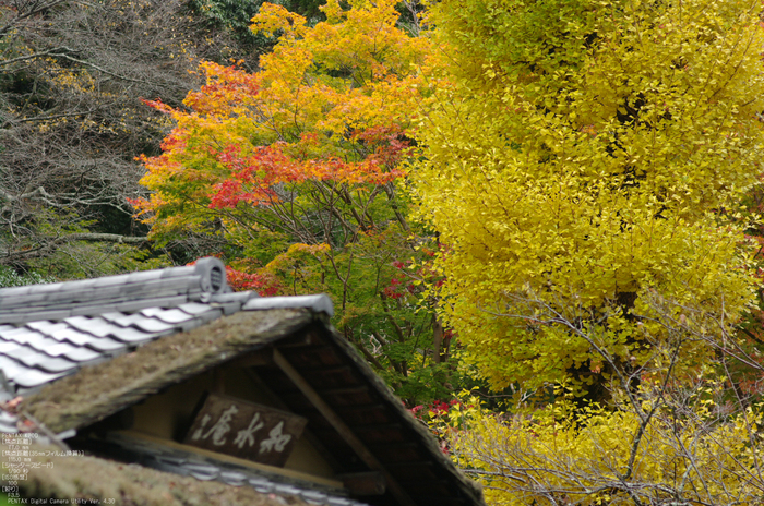 2010_室生寺・紅葉_25.jpg