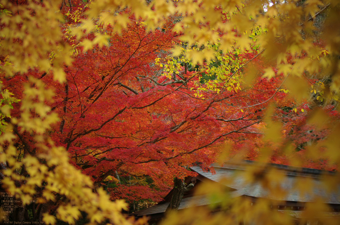 2010_室生寺・紅葉_28.jpg