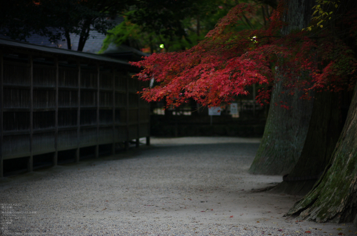 2010_室生寺・紅葉_3.jpg