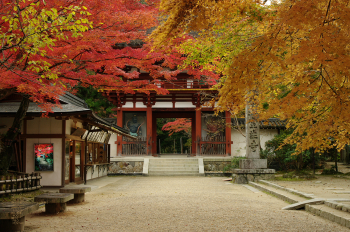 2010_室生寺・紅葉_5.jpg