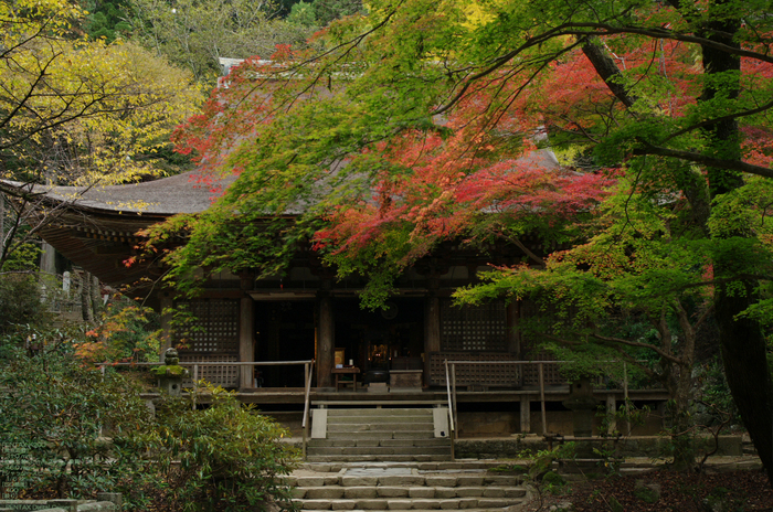 2010_室生寺・紅葉_8.jpg