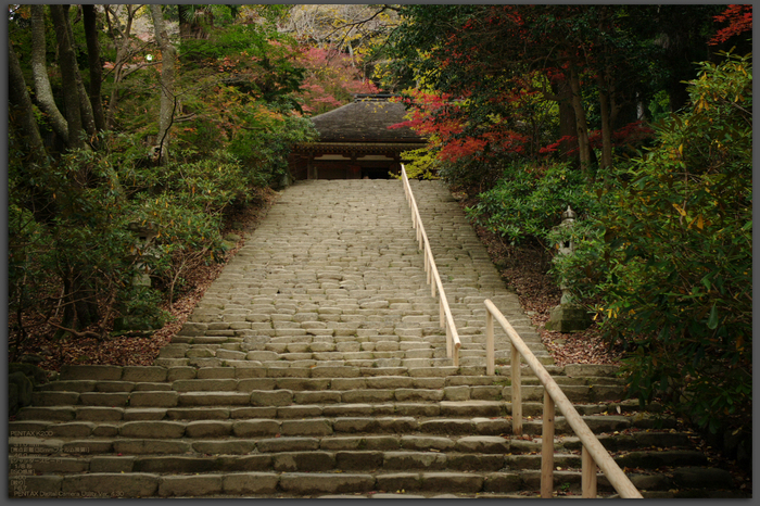 2010_室生寺・紅葉_top2.jpg