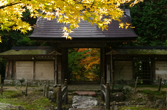 2010_常照皇寺・紅葉_23.jpg