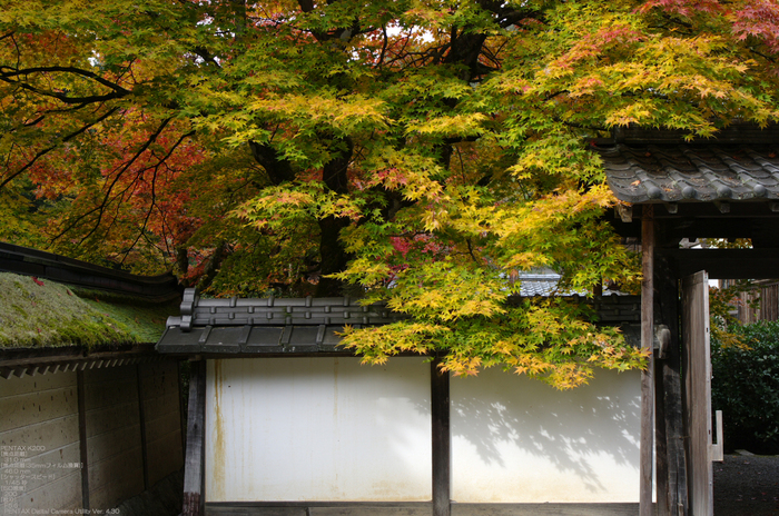 2010_常照皇寺・紅葉_8.jpg