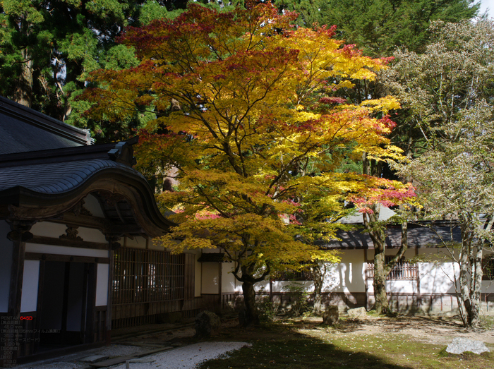 2010_延暦寺_51.jpg