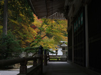 2010_延暦寺_55_full_10.jpg