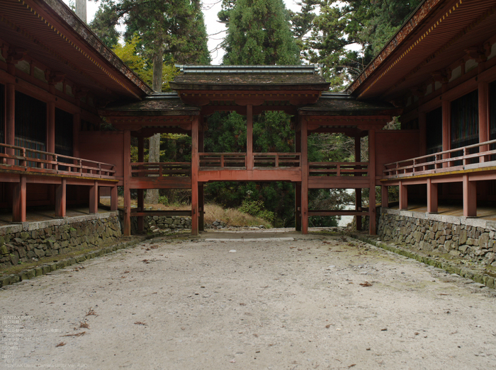 2010_延暦寺_61.jpg