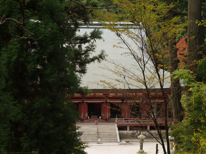 2010_延暦寺_62.jpg