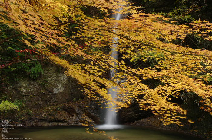 2010_投石の滝・紅葉_3.jpg