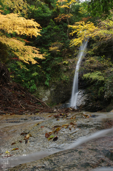 2010_投石の滝・紅葉_4.jpg