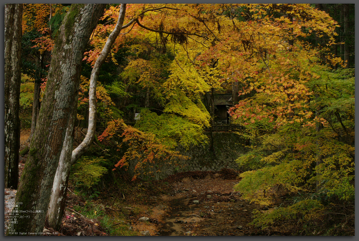 2010_投石の滝・紅葉_top.jpg