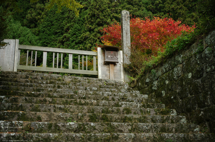 2010_月うさぎ・紅葉_1.jpg