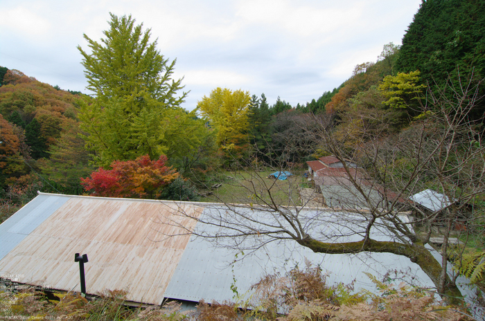 2010_月うさぎ・紅葉_5.jpg