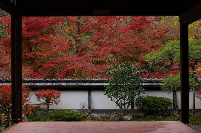 2010_正暦寺・紅葉_10.jpg