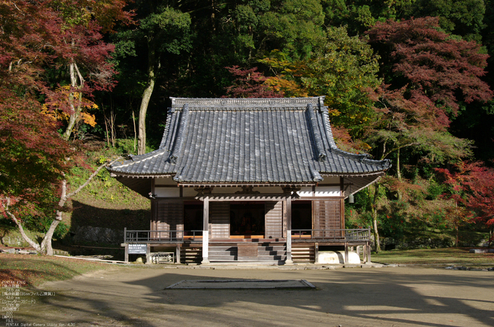 2010_正暦寺・紅葉_3.jpg