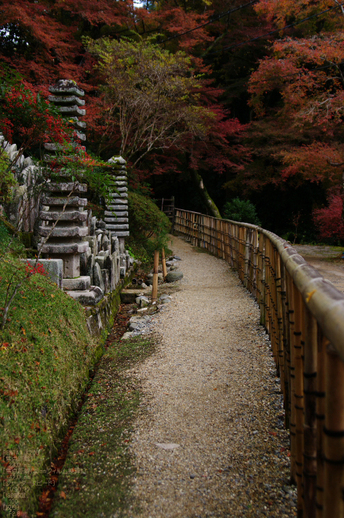 2010_正暦寺・紅葉_7.jpg