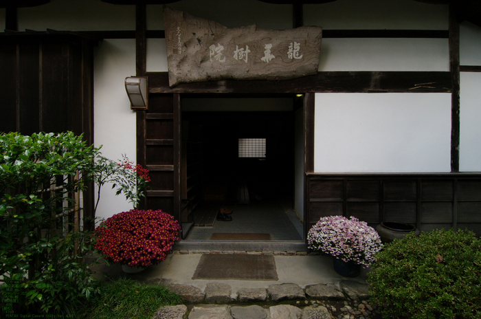 2010_正暦寺・紅葉_8.jpg