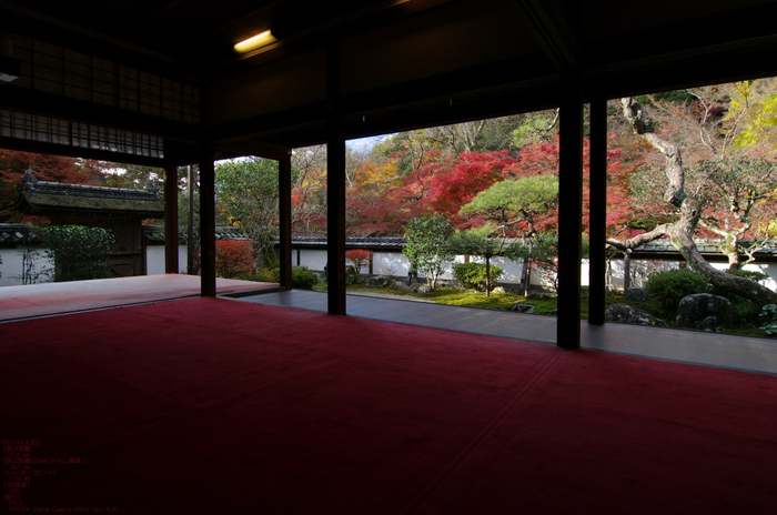 2010_正暦寺・紅葉_9.jpg