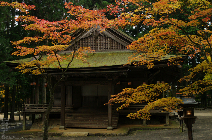 2010_高野山紅葉_11.jpg